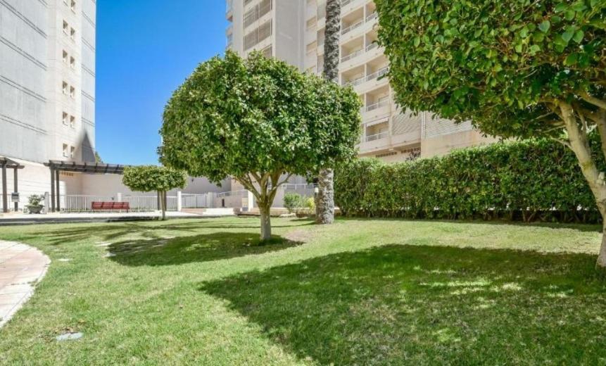 Homeincalpe Apolo XVII 1-14-41 Exterior photo